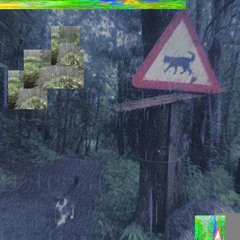 Forest (prod. djinusame)