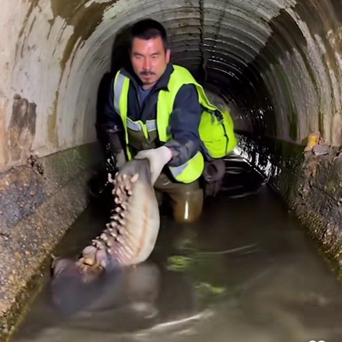 DO NOT PLAY THIS TRACK