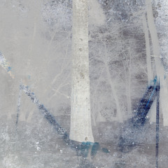 FADE INTO SNOW