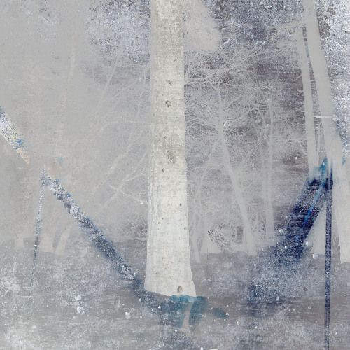 FADE INTO SNOW