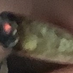 Sick Shit