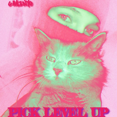 PICK LEVEL UP