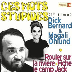 Ces mots stupides