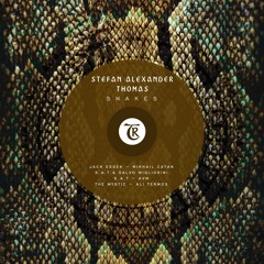 𝐏𝐑𝐄𝐌𝐈𝐄𝐑𝐄: Stefan Alexander Thomas  - Limitless  (AVM Remix)