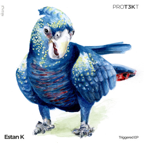 ESTAN K - Force