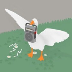HONK - PROJECT-ED (N24 VIP) [DIRECT DL]