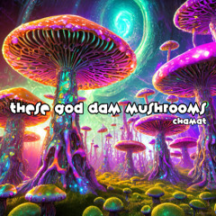 PREVIEW - - These God Dam Mushrooms (Original Mix)