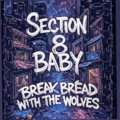 SECTION 8 BABY