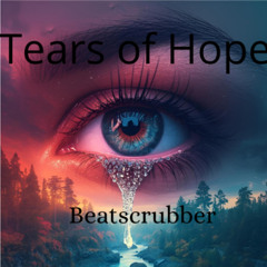 Beatscrubber - Tears & Hope (Original Mix)