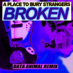 Broken (Data Animal Remix)