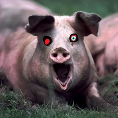 dusttale to dust