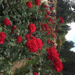 In These Times - 10:5:22, 10.14 AM