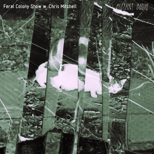 Feral Colony Show w. Chris Mitchell [11.05.2022]