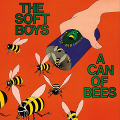 Give It to the Soft Boys