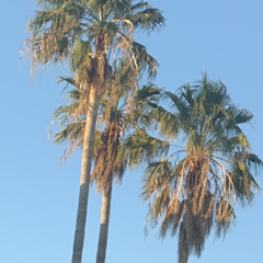 7am (Soap ft. Saps, SKITTLEZDAGOD)