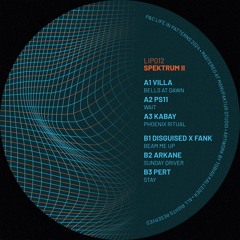 BT Premiere: Pert - Stay [LIP012]