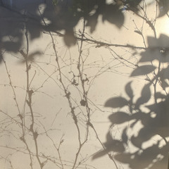 蛹化の女(mushi no onna)cover.m4a