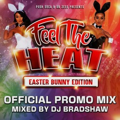 Feel The Heat (Easter Bunny Edition) Promo Mix! (Zess, Soca & Dancehall) I Mixed By DJ Bradshaw