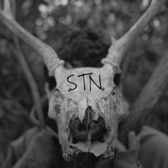 Survive the Night