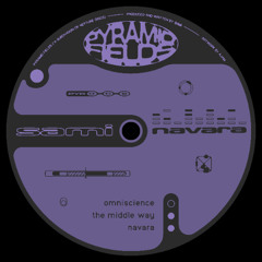 PREMIERE: Sami - Omniscience [Pyramid Fields]