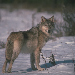 Now I'm feeling... ⋆.⟡ ࣪˖ FRUTIGER ˚₊⊹ ࣪ ˖