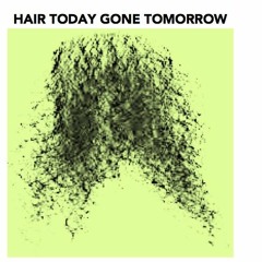 Hair Today gone Tomorrow