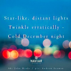 Cold December night [naviarhaiku413]