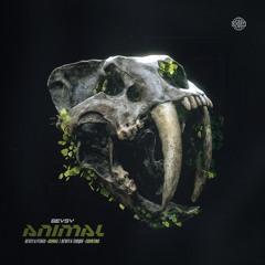 Bevsy & Torque - Counting