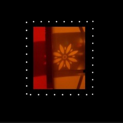 Ven a Mi Palabra (live)