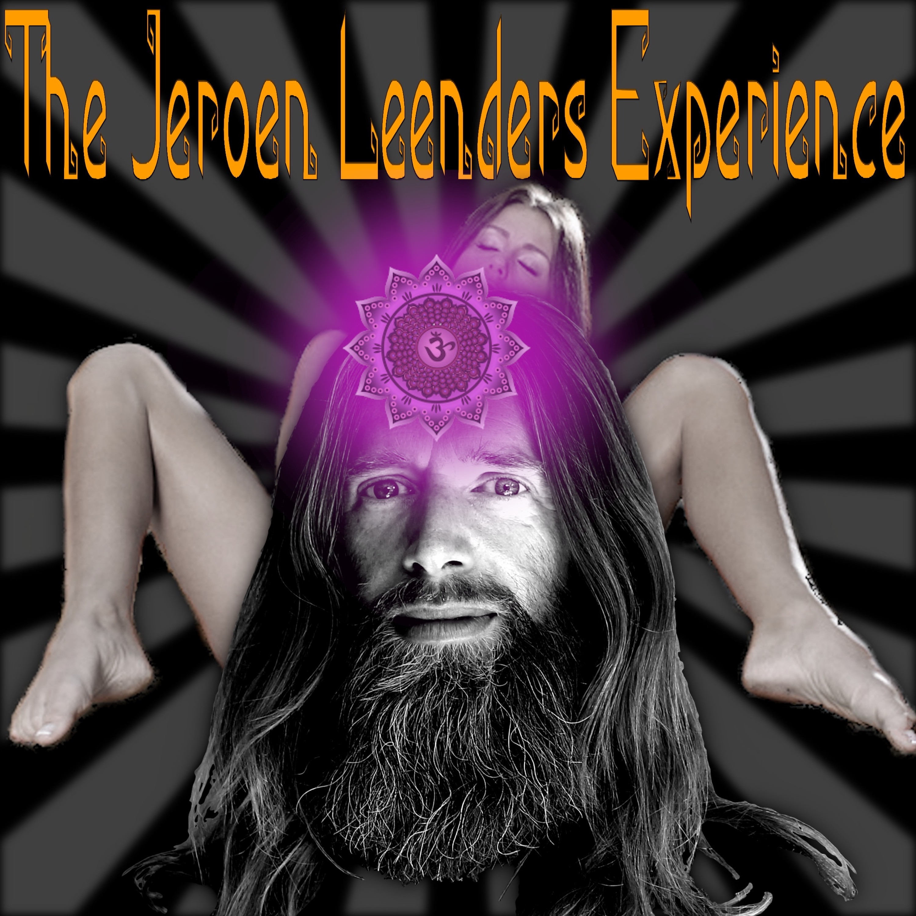 Jeroen Leenders Experience