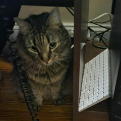 bugs (d4vd worthless cover)