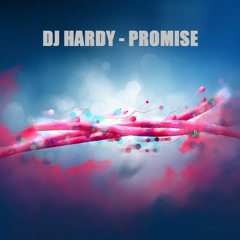 DJ HARDY - PROMISE