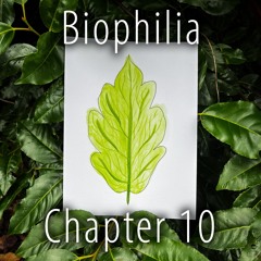 Biophilia - Chapter 10