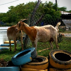 Curry Goat (feat. C Nate)