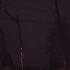 Why wouldn't I give up.