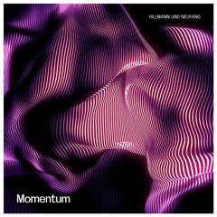 Momentum Vol.2