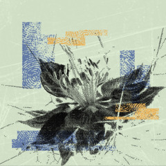 krakatoa (krule vox)