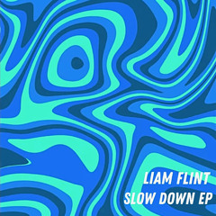 Liam Flint - Slow Down