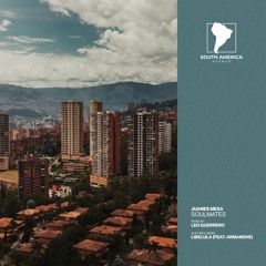 Juanes Mesa & Armandhe - Libelula [South America Avenue]