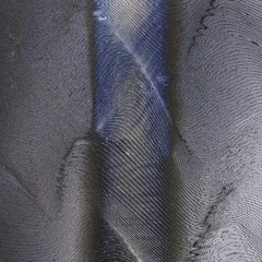 100th w/ Daniel Stroes  - 11.07.2024