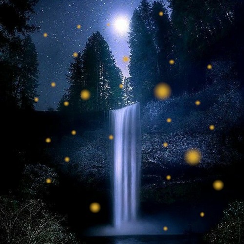 Fire Flies Water Falls