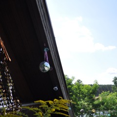 dachterrasse an der spree.