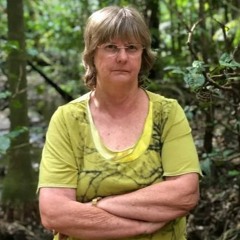 Background on Water extraction at Springbrook