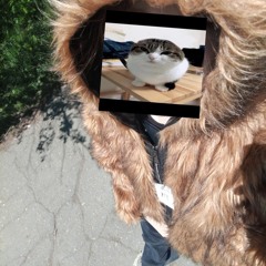 TINKOFF Пиздолiз