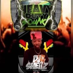 DJ SHELLZ LOCK THE CITY DANCEHALL