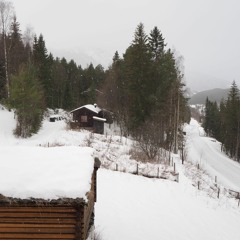 Groove From Two Immaculate Bananas