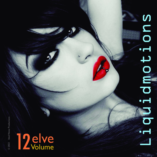 LiquidMotions - Vol. 12 [-- ideal noise --]