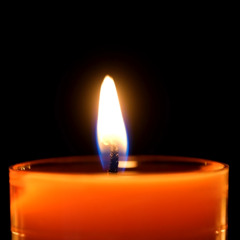 BNWO - White Boy Surrender [DEEP] (TEASER)