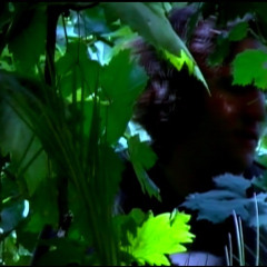 Coolwater - 'Pale Sky' (Mix4)