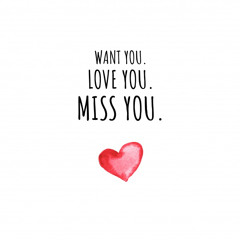 Want U (HAL-V Remix)